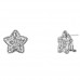 Ασημένια σκουλαρίκια αστέρια 925 με ζιργκόν