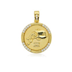 Χρυσός αστερισμός Υδροχόος Κ9 με ζιργκόν