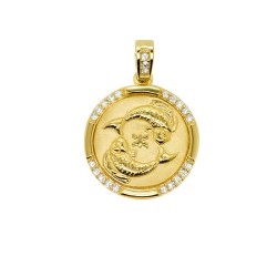 Χρυσός αστερισμός Ιχθύες Κ9 με ζιργκόν