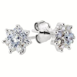 Λευκόχρυσα σκουλαρίκια Κ14